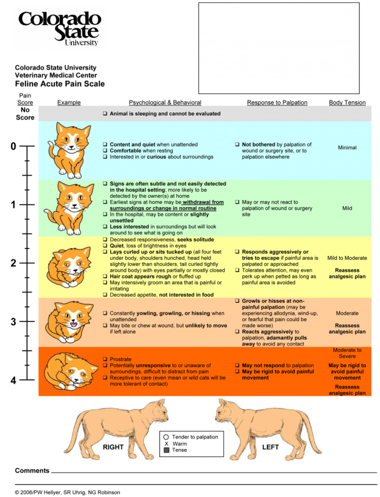 CSU Feline Acute Pain Scale